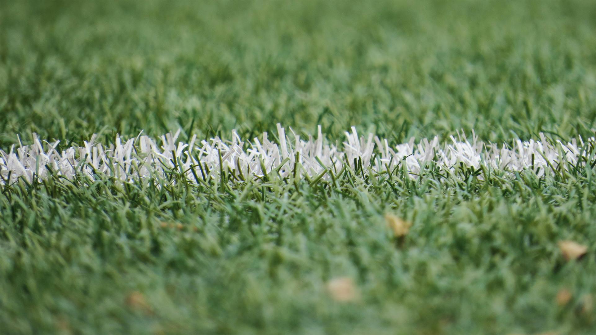 Artificial Grass