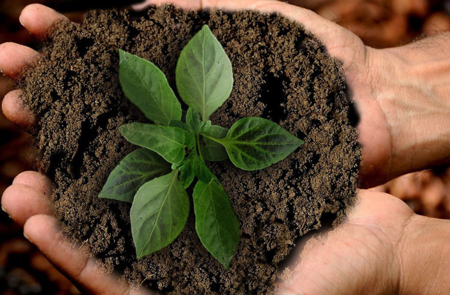 Sustainability
